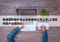 杨浦区块链开发公司有哪些公司上市[上海区块链产业园地址]