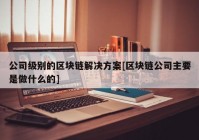 公司级别的区块链解决方案[区块链公司主要是做什么的]